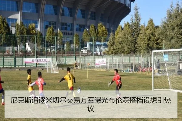 img_1781323628865_27_1_722.jpg