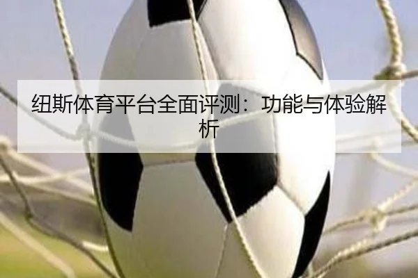 纽斯体育平台全面评测：功能与体验解析