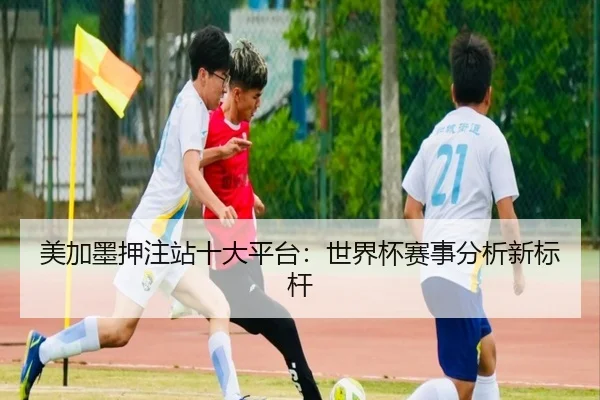 美加墨押注站十大平台：世界杯赛事分析新标杆